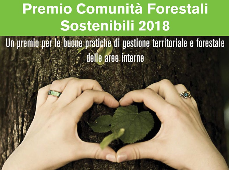 Premio CFS Premio “Comunità Forestali Sostenibili”: sei ancora in tempo per partecipare!