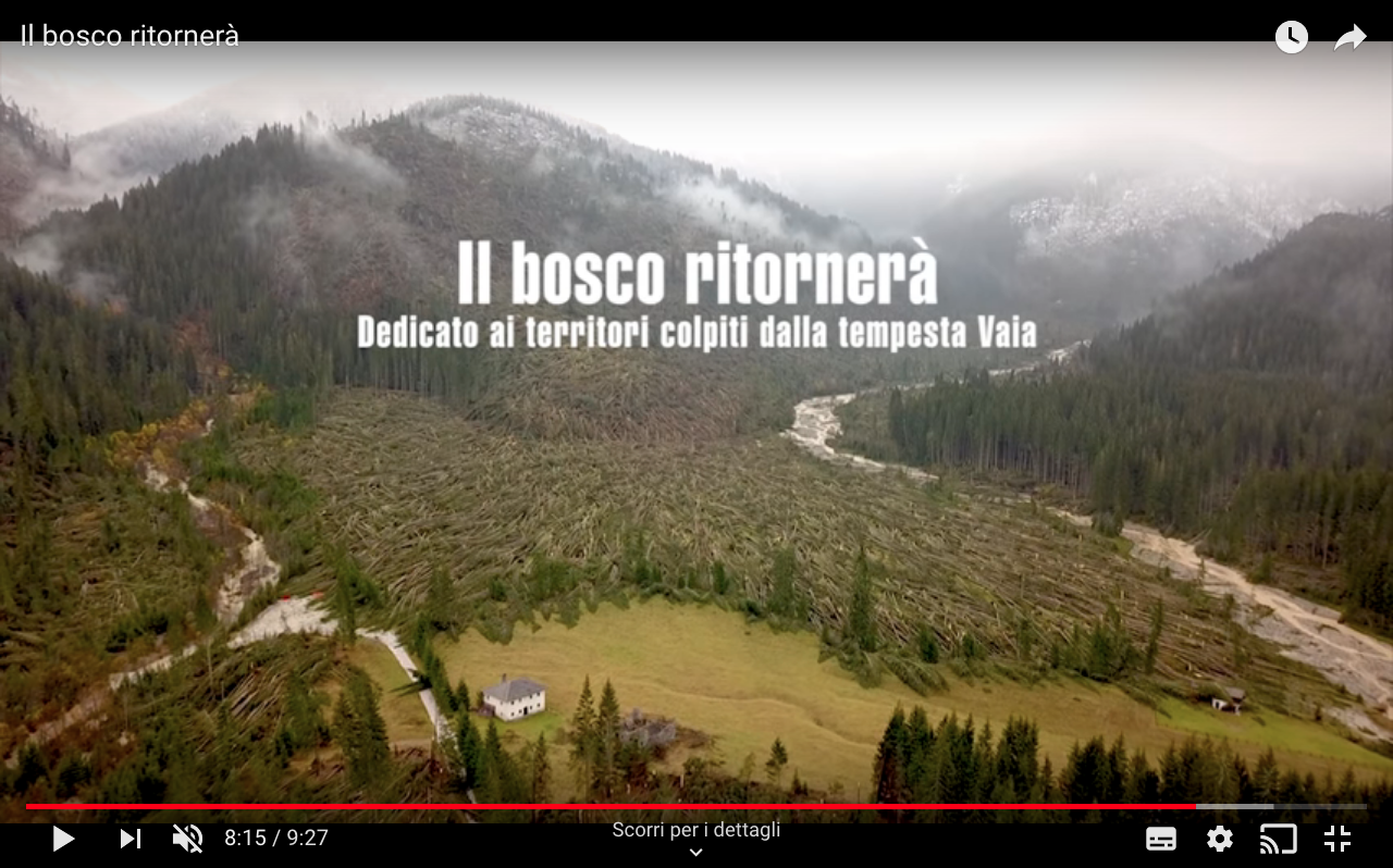 Il bosco ritornerà presentazione Il bosco ritornerà – Un video di Compagnia delle Foreste con Giorgio Vacchiano e il patrocinio del PEFC Italia
