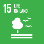E SDG goals icons individual rgb 15 1 PEFC entra nell’Alleanza Italiana per lo Sviluppo Sostenibile