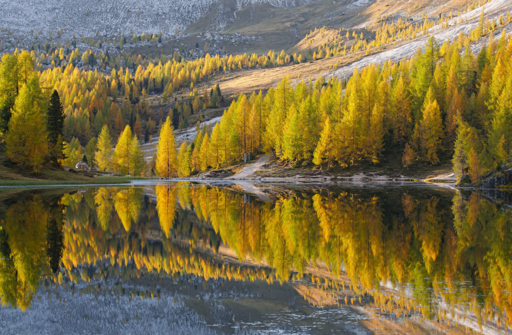 3° Sonia Fantini Autunno al lago Federa Dal Friuli alla Campania, ecco i vincitori di Scatta il Bosco PEFC 2021