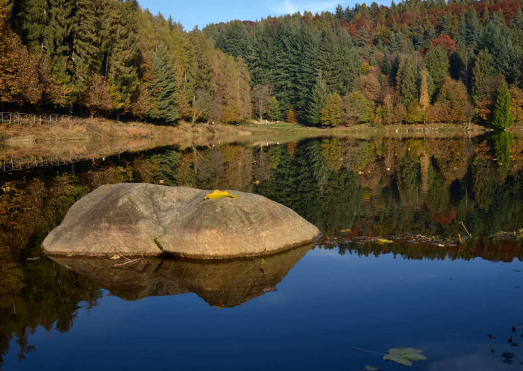 Consorzio Forestale del Canavese Lago Meugliano Foliage, un’esplosione di colori nelle foreste italiane