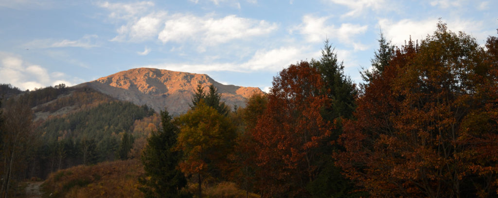 Consorzio Forestale del Canavese Monte Gregorio Vico To Foliage, un’esplosione di colori nelle foreste italiane
