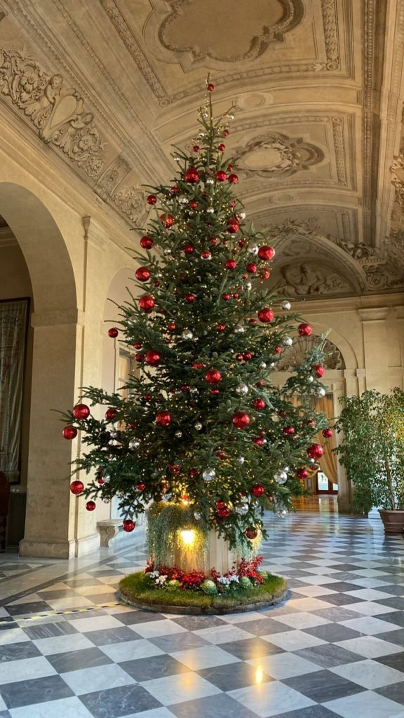 albero Quirinale Un Natale PEFC con abeti da boschi sostenibili per luoghi e piazze d'eccezione