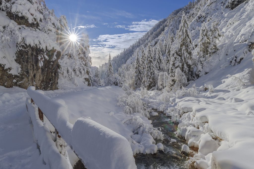 1 Sonia Fantini Neve fresca Val Bartolo UD I vincitori del concorso fotografico “Scatta il bosco PEFC 2022”