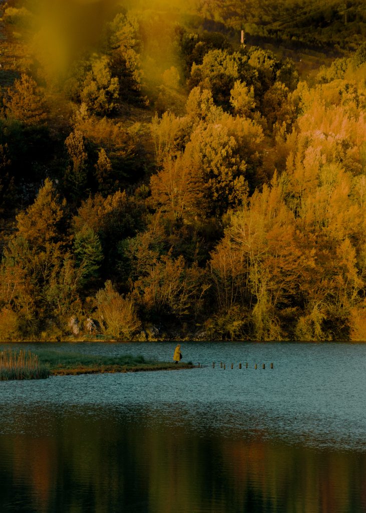 3 Fabio Filomena Lady in a yellow coat Lago del Pantano I vincitori del concorso fotografico “Scatta il bosco PEFC 2022”