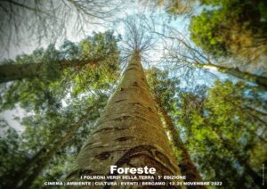Festival Cinematografico delle Foreste 2022 HOME