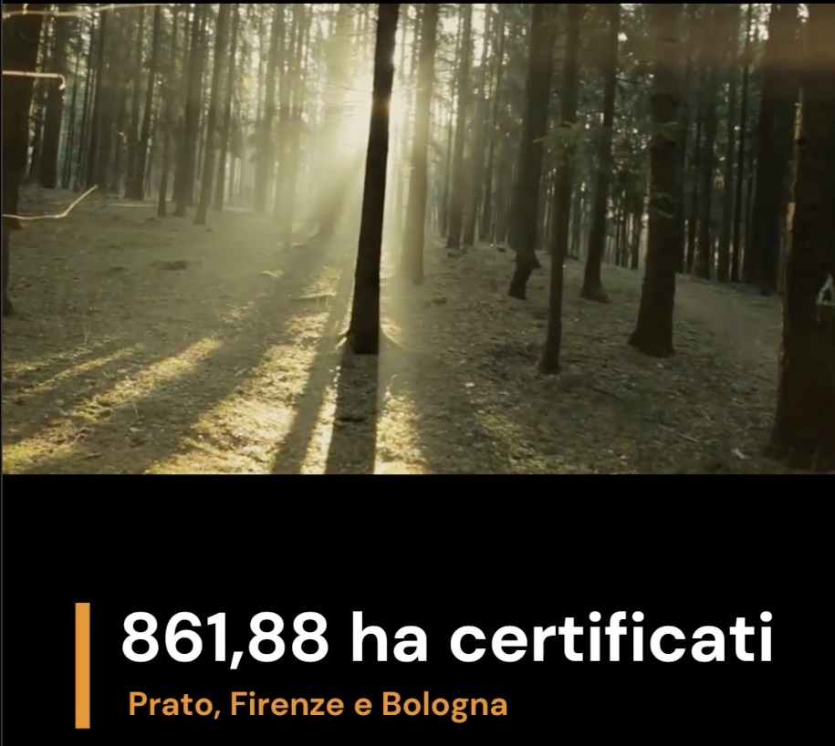 Braga Spa I protagonisti del Premio Comunità Forestali Sostenibili: Braga Spa