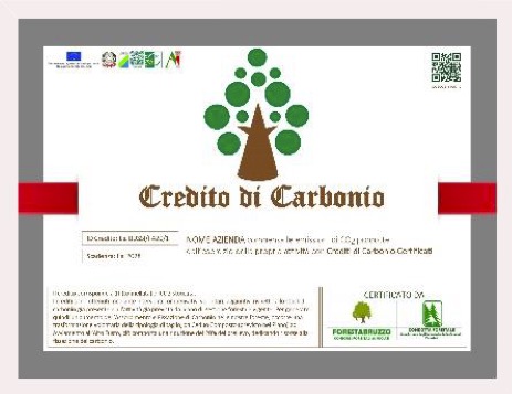 Bosco Amico 3 I protagonisti del Premio Comunità Forestali Sostenibili: BOSCO AMICO