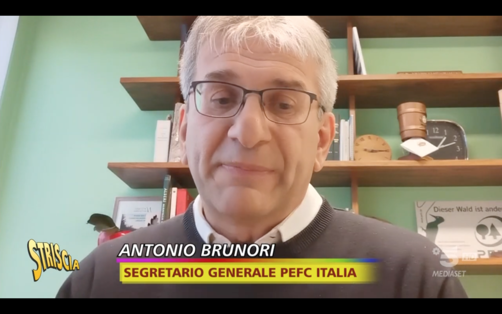 Schermata 2023 12 19 alle 11.38.12 La rassegna stampa PEFC di Natale