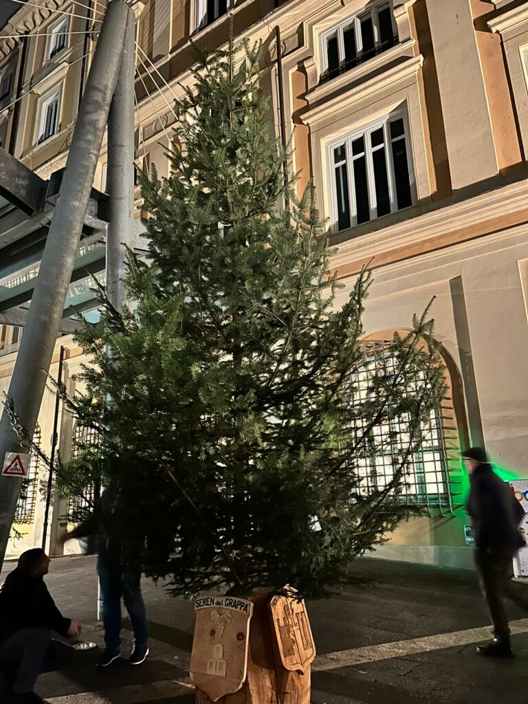 WhatsApp Image 2023 12 12 at 12.57.05 Natale sostenibile con gli abeti PEFC in piazza