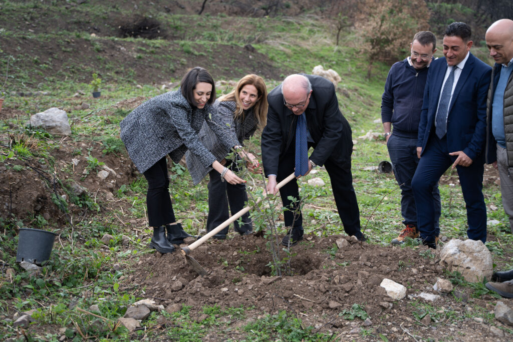 foto 1 testo Una nuova vita dopo l’incendio. Al via il progetto di ripristino ambientale a Gratteri (PA)