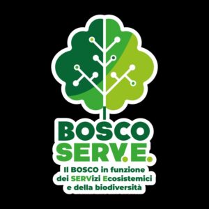 Bosco Serve Logo sottotitolo 1 800x800 1 HOME