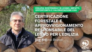 Certificazione forestale e approvvigionamento responsabile del legno per ledilizia miniatura HOME